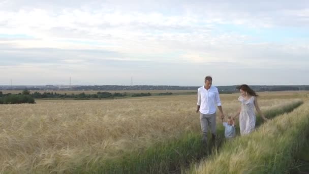 Anya, apa és kis fia szabadidőiparban együtt szabadtéri. Boldog családi séta a nyári rét — Stock videók