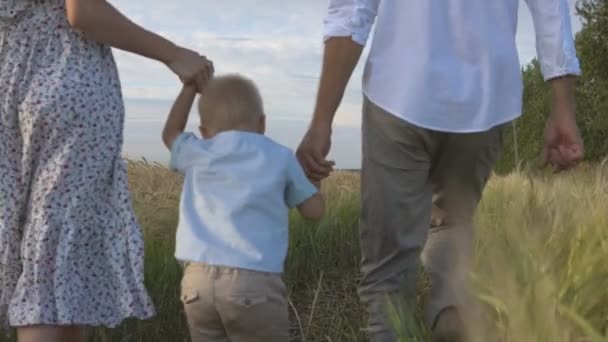 母は、父と一緒に小さな息子余暇屋外。夏の草原、スローモーションで歩く幸せな家族. — ストック動画