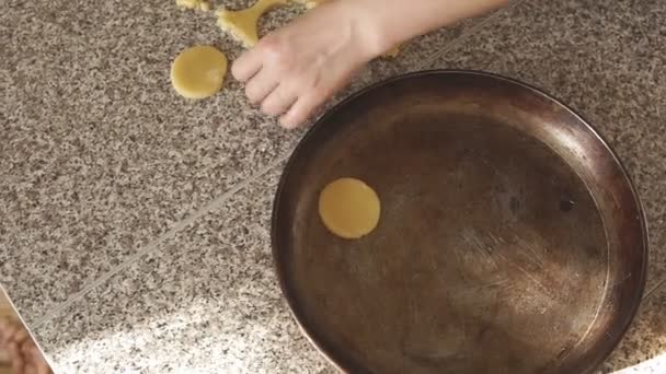 Las galletas de masa se colocan en una sartén — Vídeos de Stock