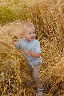 Bir buğday alanında oturan küçük boy gülümseyerek