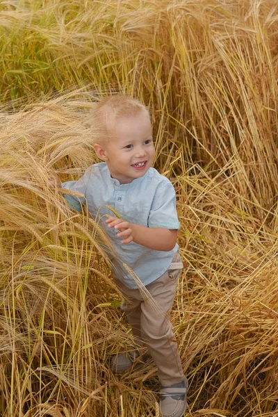 Bir buğday alanında oturan küçük boy gülümseyerek