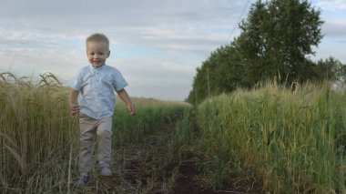 Çocuk çalışır bir buğday alanı ile mutlu çocukluk