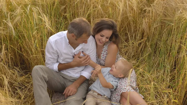 Veliler ve buğday sahada oynayan çocuk gülümseyen