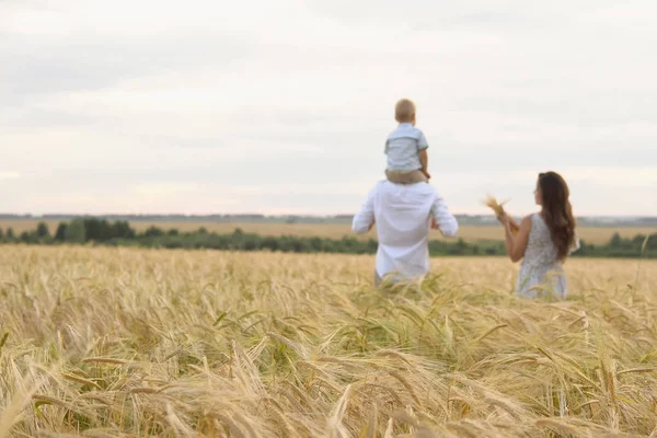 Infância feliz, família caminhando no campo de trigo — Fotografia de Stock