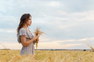 Kadın buğday kulakları ellerini, yaz alanı tutar.