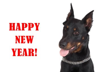 Dog Head'a dilini dışarı asılı ve yazıt 'mutlu yıllar' siyah arka plan üzerine Fransız.