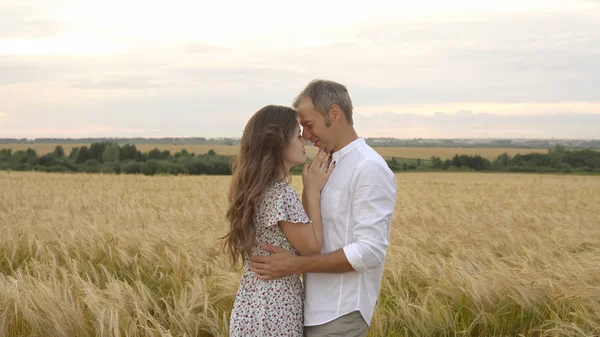 Ρομαντική ημερομηνία σε ένα πεδίο σιτάρι, αγάπη ζευγάρι αγκαλιές — Φωτογραφία Αρχείου