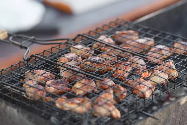 Barbeques on charcoal, shish kebab, grill closeup — Stock Photo, Image