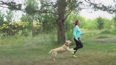 genç güzel kız ormanda orman onun safkan köpek ile çalışır