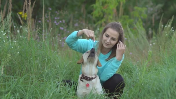 Jeune femme marche avec un chien dans la forêt — Video