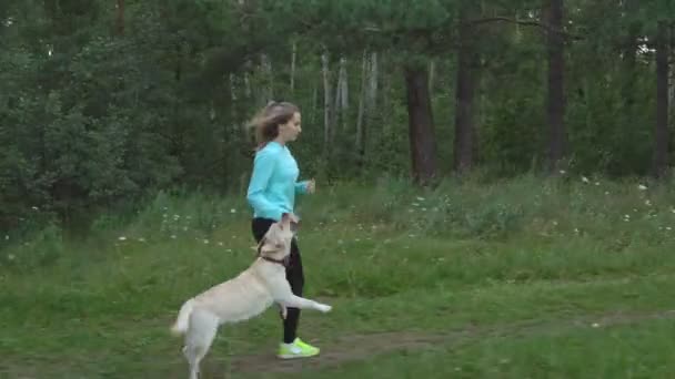 Ung flicka går genom skogen med henne fullblod hund varm sommardag. — Stockvideo