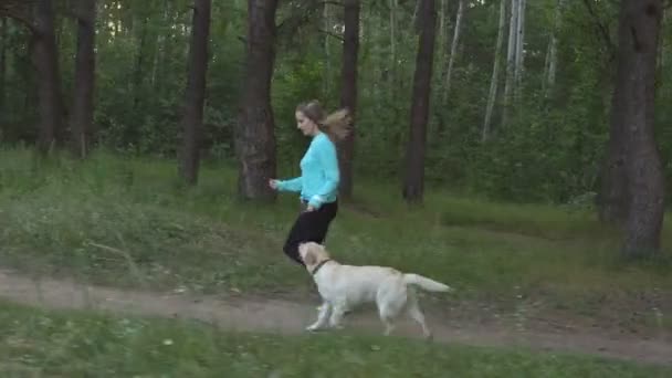 Молодая красивая девушка бежит через лес со своей чистокровной собакой в лесу — стоковое видео
