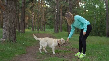 Genç kadın ile köpek ormanda yürüyor