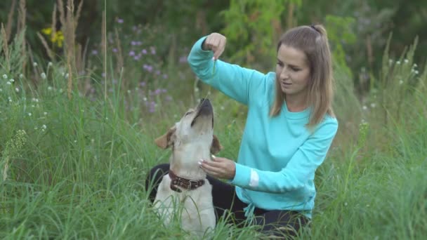 Giovane donna sta camminando con il cane nella foresta — Video Stock