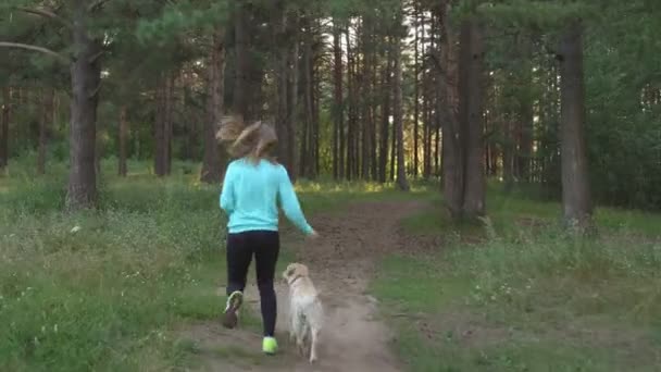 Joven mujer es caminar con perro en el bosque — Vídeos de Stock