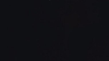 Buzdolabında yiyecek arayan bir aç kız portresi