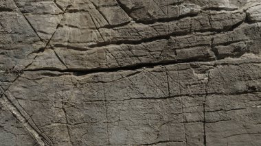 Yaşlı gri taş makro, granit doku portre