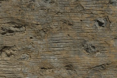 Gri çimento duvar doku, beton yüzey portre