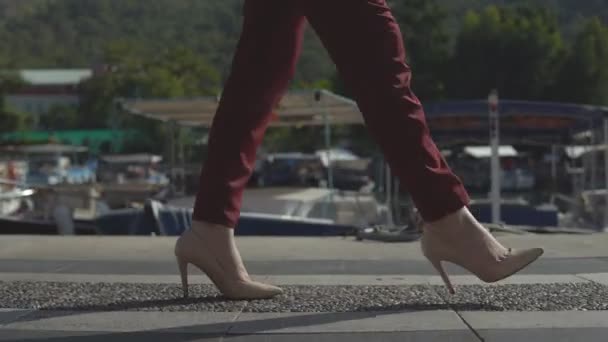 Az üzleti nő a cipő szép lábak megy a mólón, a háttérben a gyönyörű természet. — Stock videók