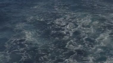 sürat teknesi denizde su yüzeyinde kuyruğunun izleme