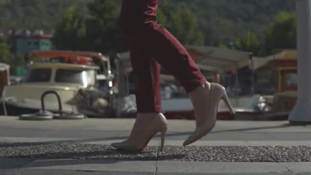 Piękne nogi kobieta biznesu w buty przejdź na molo na tle pięknej przyrody. — Wideo stockowe