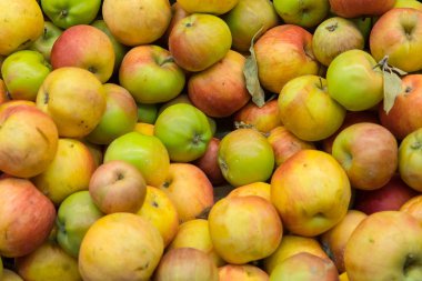 Kırmızı elma doku: kırmızı ve yeşil elma bir sürü zaman üretim aşamasında kendi koleksiyonunun bir depo gözlerine toplanan.