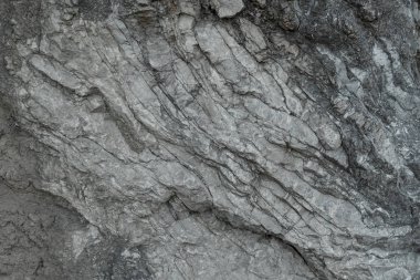 Yaşlı gri taş makro, granit doku portre