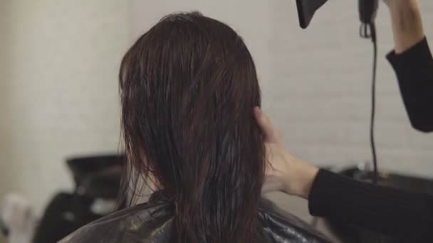 Vista posterior de peluquero-diseñador hace que el peinado del cabello a una mujer joven . — Vídeo de stock