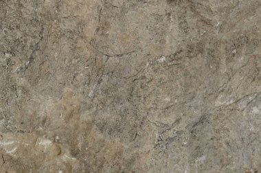 Gri çimento duvar doku, beton yüzey portre