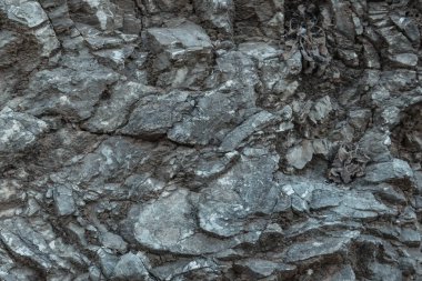 Yaşlı gri taş makro, granit doku portre