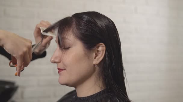 Cabeleireiro-fashion designer de corte de cabelo para uma jovem mulher em um salão de beleza — Vídeo de Stock