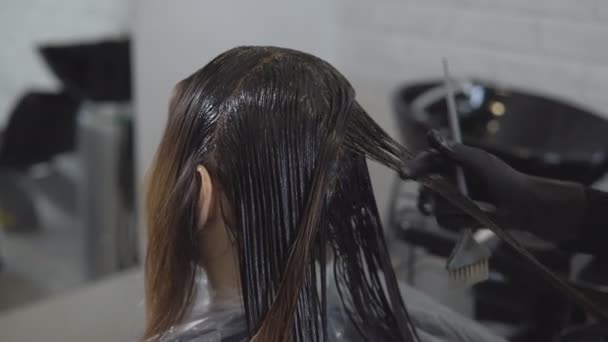 Estilista pinta un cabello de mujer joven en un salón de belleza — Vídeos de Stock