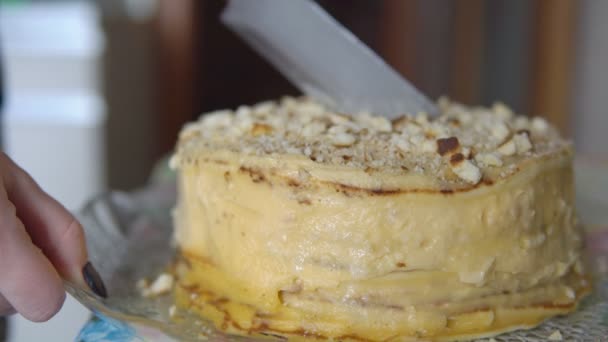 Gros plan sur la découpe d'un gâteau avec un gros couteau — Video