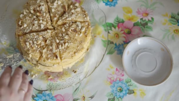 Femme pose un morceau de gâteau sur une petite assiette — Video