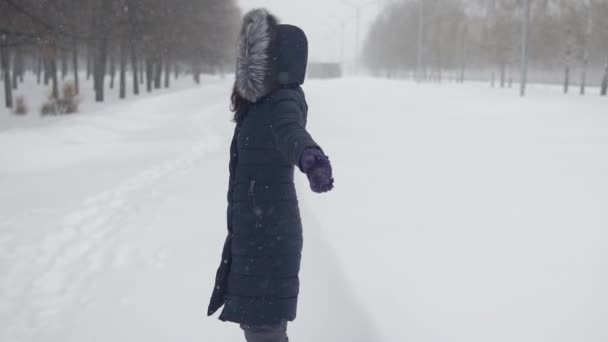 Joyeux promenades dans le parc. Une jeune femme est allongée dans la neige — Video
