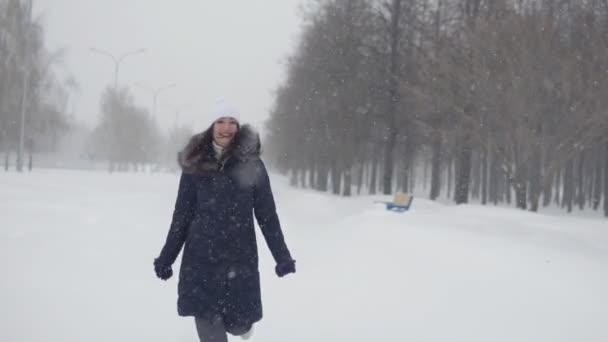 冬の公園でブルネットの女性。戸外で歩く — ストック動画