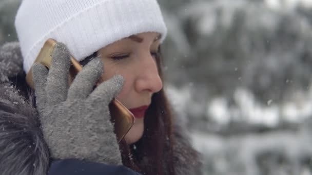 Όμορφη γυναίκα που μιλάει στο τηλέφωνο σε ένα χειμερινό πάρκο — Αρχείο Βίντεο