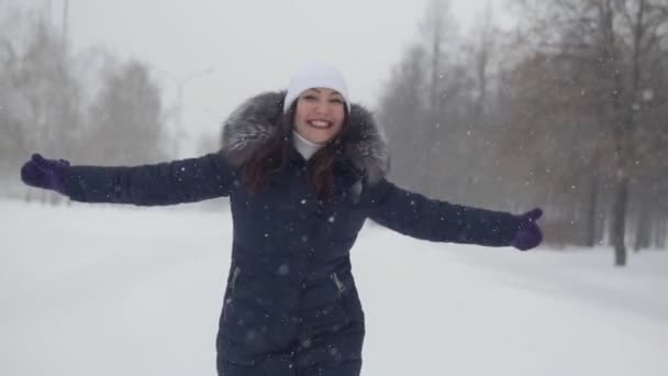 Μελαχρινή νεαρή γυναίκα στο χειμερινό πάρκο. Περιπάτους στην ύπαιθρο — Αρχείο Βίντεο