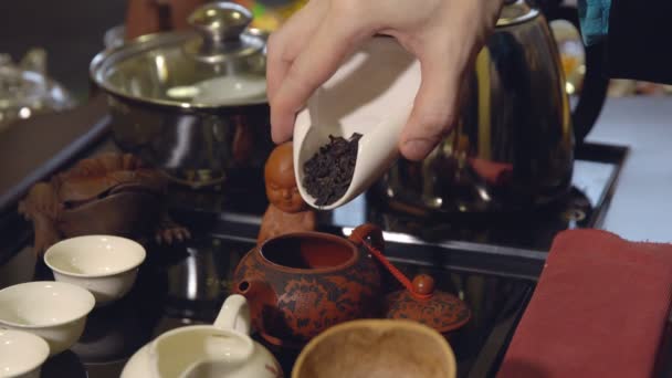 Чайная церемония Мастер наливает чайные листья в чайник — стоковое видео