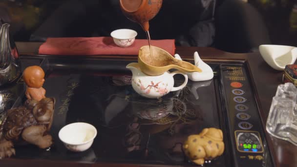 Preparation of the tea ceremony. Master brews tea — Stock Video