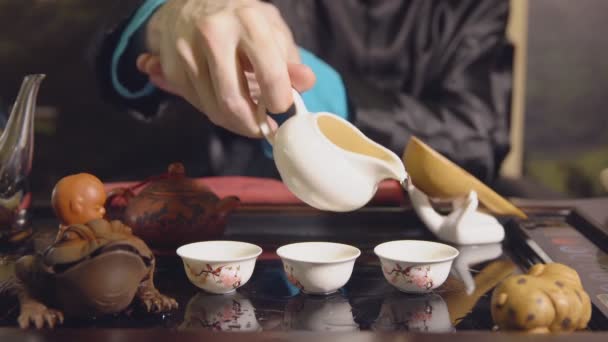 Ceremonia del té. Maestro vierte el té en las tazas — Vídeo de stock