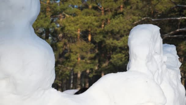 Menina de pele escura se esconde atrás de snowdrifts se divertindo — Vídeo de Stock