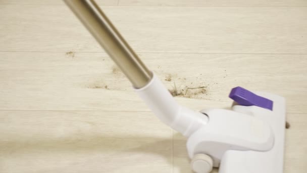 Close-up of the vacuum cleaner. Cleaning a pile of dust and debris on the floor — 비디오