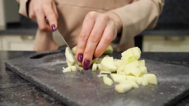 Experience housewife cuts vegetables cooking dish for lunch — Stock Video