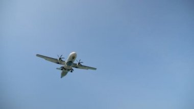 Okyanus kıyısındaki kumsalda dinlenen insanların üzerinde uçar.