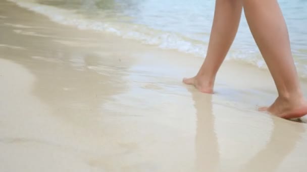 Donna cammina lungo la spiaggia. — Video Stock