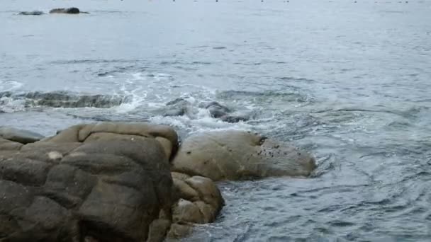 海浪翻滚在风景如画的海滩上的大石头上 — 图库视频影像