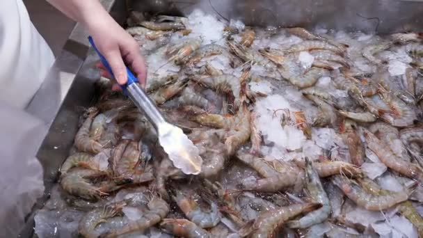 La mano femenina se pliega en una bolsa de gambas crudas frescas en agua helada en un mostrador de la tienda — Vídeo de stock