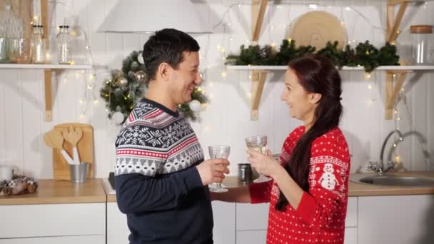 Family congratulates for New Year drinking champagne — Stock Video