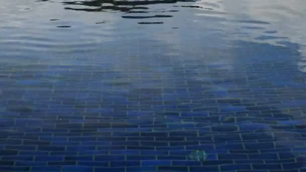 Brunetta in bikini nuota nella piscina dell'hotel blu acqua increspata — Video Stock
